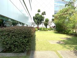 Upper Paya Lebar Road (D19), Factory #410149371